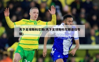 天下足球斯科尔斯(天下足球斯科尔斯退役专辑)